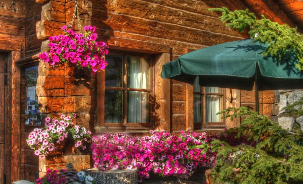 Park Chalet Village Livigno Esterno foto